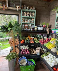 Local vs Imported Products in Ghana
